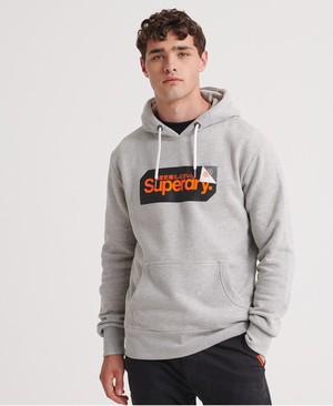 Superdry Core Logo Tag Férfi Kapucnis Pulóver Szürke | XYPGM9318